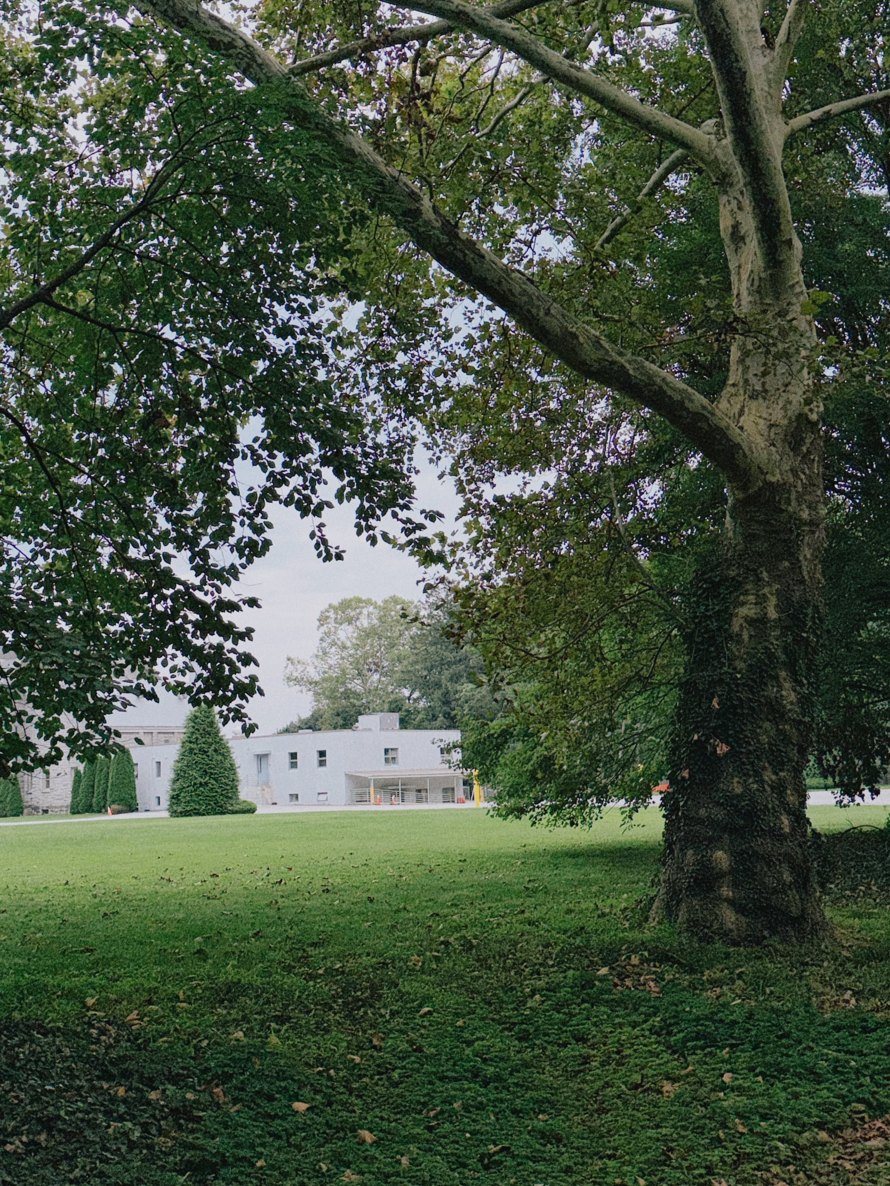 A moment from life at Our HoneyBee Academy